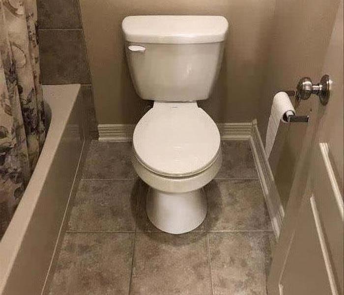Replaced Toilet and Cleaned Floors