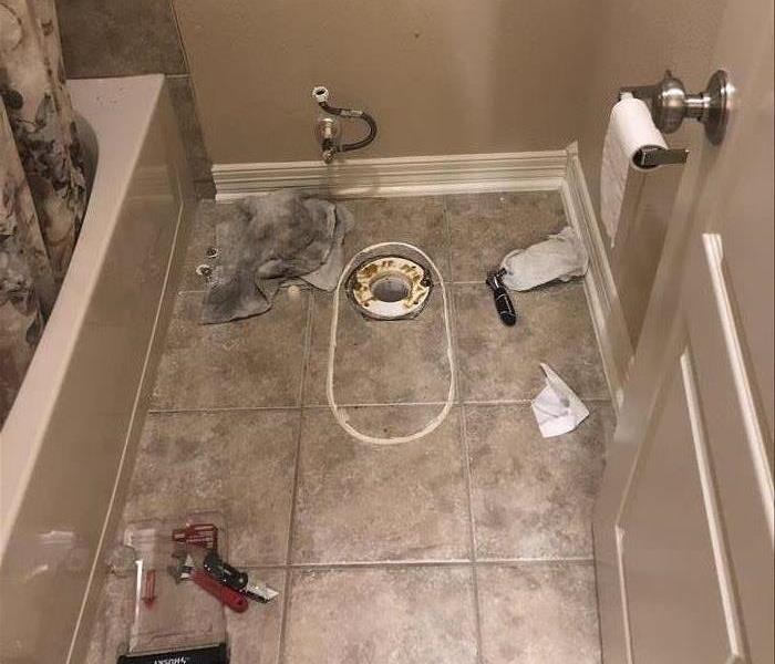 Cracked and Removed Toilet Bowl