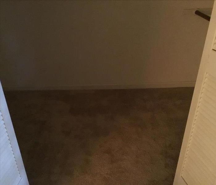 an empty room with white walls and tan carpet