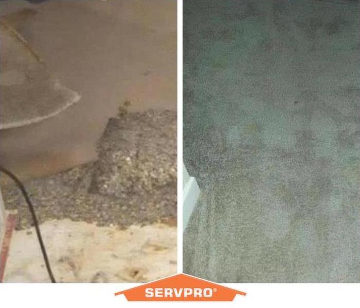 a before and after photo of basement carpet with the SERVPRO logo in the middle